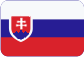 Konštrukčné služby Slovensky